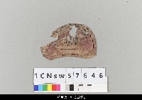 藏品(中國湖北皮影戲盔帽)的圖片